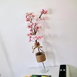 In Alfama- Beco De Sao Miguel Apartment